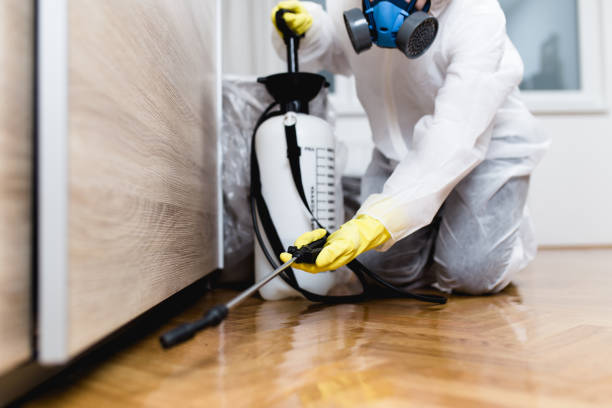 Best Best Pest Control Companies  in Coalville, UT