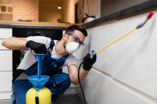 Best Commercial Pest Control Services  in Coalville, UT