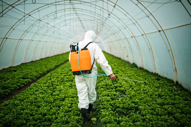 Best Residential Pest Control  in Coalville, UT
