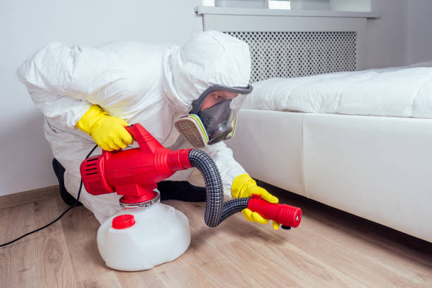 Best Emergency Pest Control  in Coalville, UT