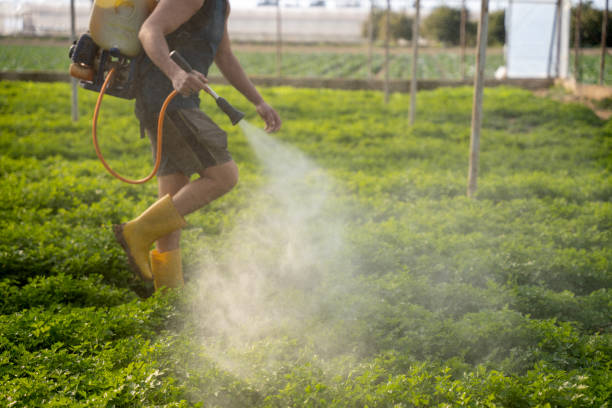 Best Ant Control Services  in Coalville, UT