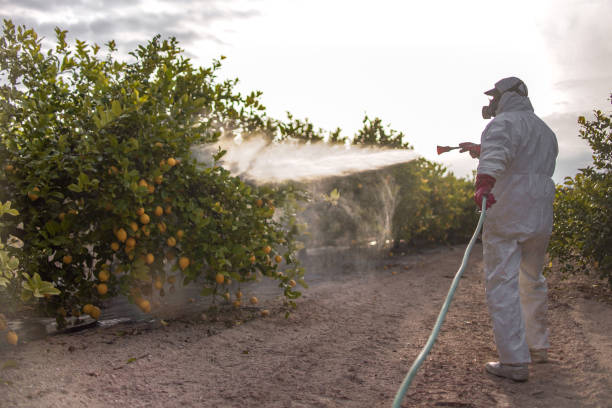 Best Best Pest Control Companies  in Coalville, UT
