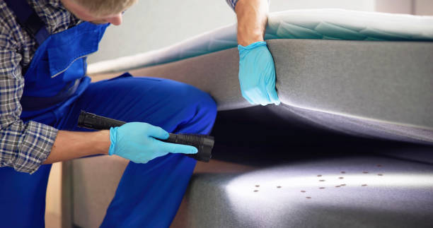 Best Local Pest Control Services  in Coalville, UT