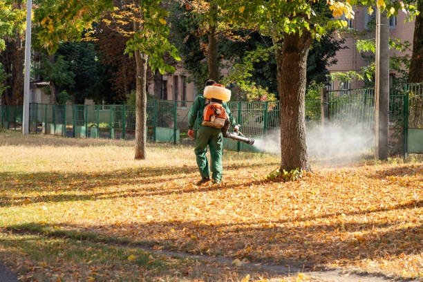 Best Wasp Removal Services  in Coalville, UT