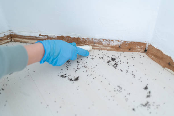 Best Pest Prevention Services  in Coalville, UT